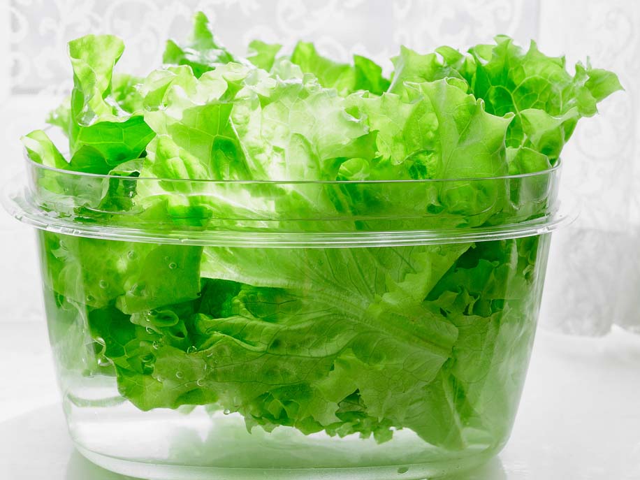 Salat wird im Wasser wieder knackig &copy; iStock/MEINPLAN.at